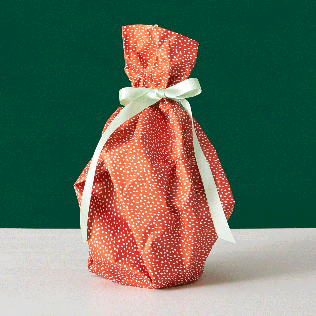 ZZ Plant and Hyde Planter wrapped in holiday wrapping paper.