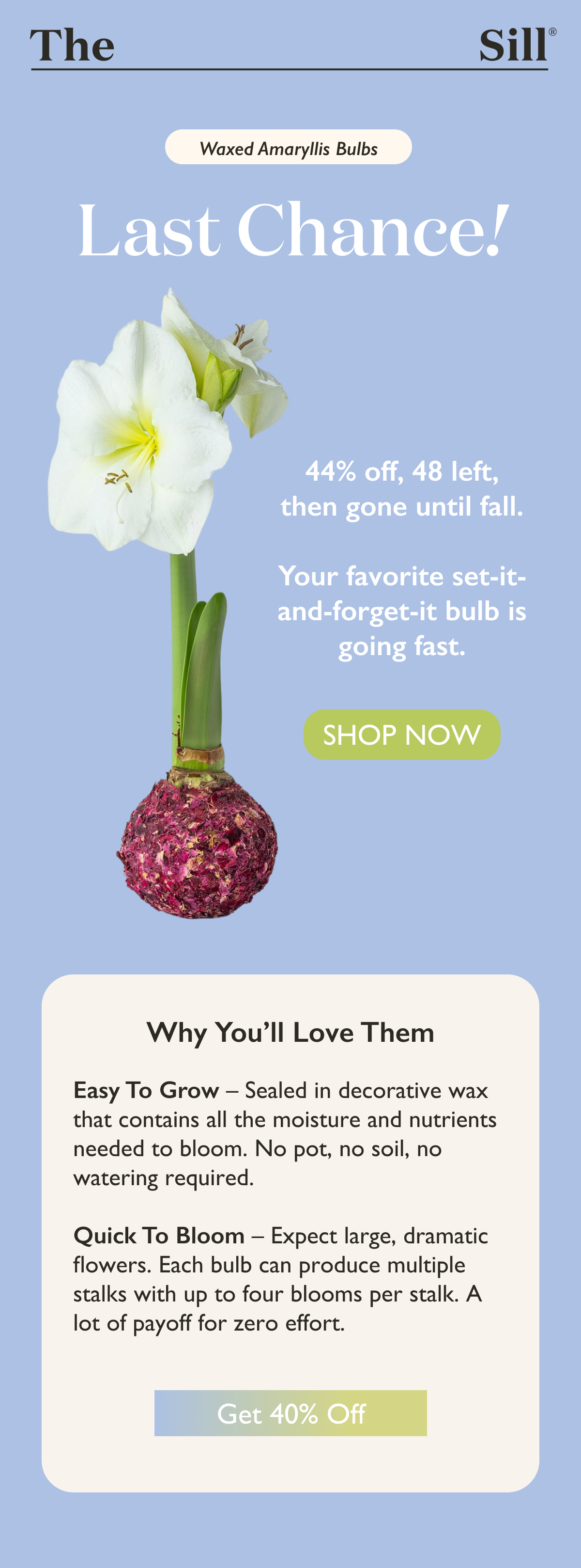 Only a handful of our Waxed Amaryllis Bulbs are left. Your favorite set-in-and-forget-it bulb is going fast, and once it's gone, it won't be back until fall. 