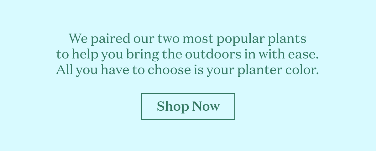 We paired our two most popular plants to help you bring the outdoors in with ease. All you have to choose is your planter color. 
