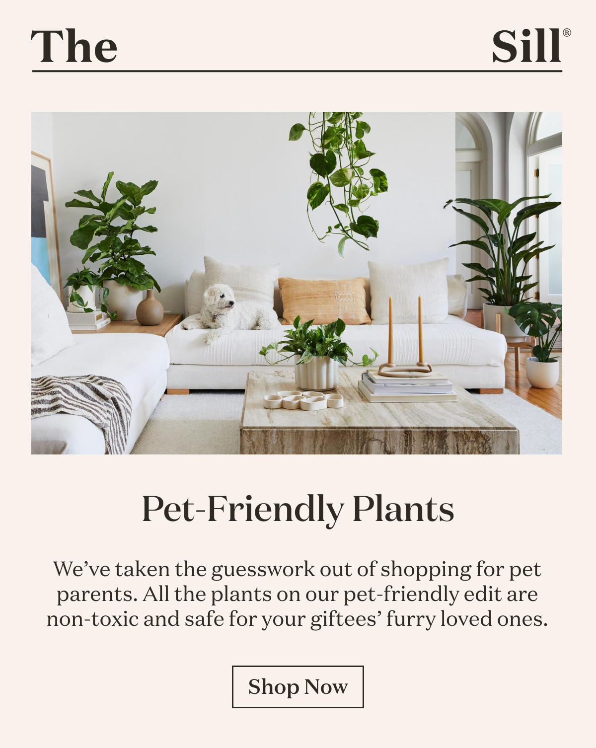 Pet-Friendly Plants. We've taken the guesswork out of shopping for pet parents. 