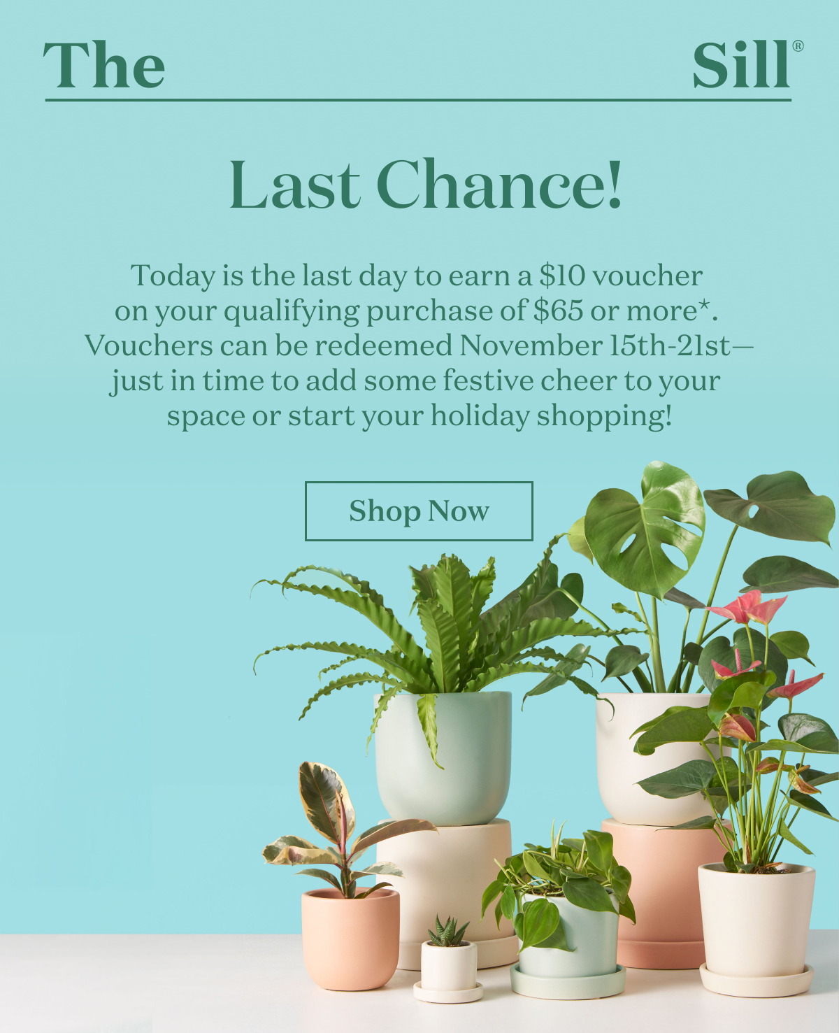 Last Chance!  Today is the last day to earn a $10 voucher on every qualifying purchase of $65 or more*. Vouchers can be redeemed November 15th-21st—just in time to add some festive cheer to your space or start your holiday shopping! 
