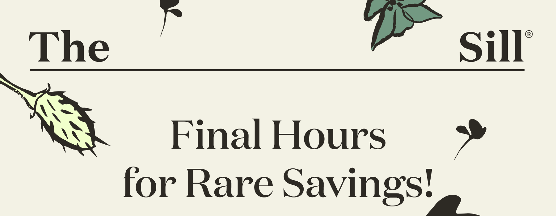 Final Hours for Rare Savings!