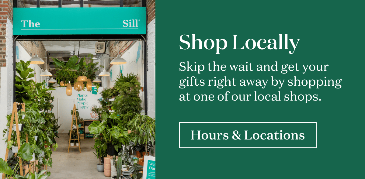 Shop Locally. Skip the wait and get your gifts right away. 