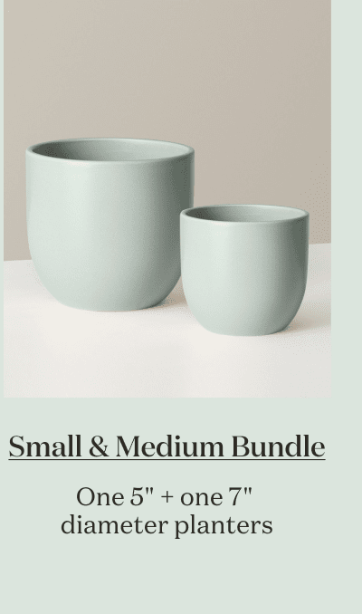 Small & Medium Bundle. One 5" + one 7" diameter planters.
