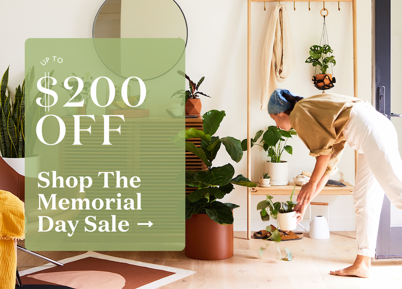Shop Memorial Day Sale for Up to $200 Off