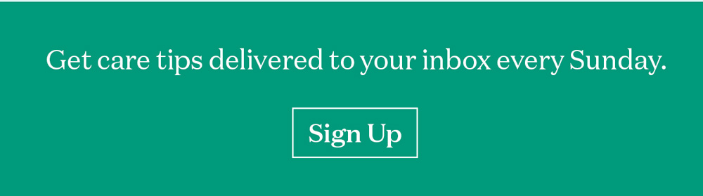 Get care tips delivered to your inbox every Sunday. [Sign Up]