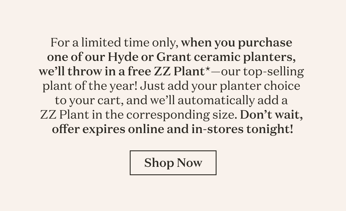 For a limited time only, when you purchase one of our Hyde or Grant ceramic planters, we’ll throw in a free ZZ Plant*—our top-selling plant of the year! Just add your planter choice to your cart, and we’ll automatically add a ZZ Plant in the corresponding size. Don't wait, offer expires online and in-store tonight!