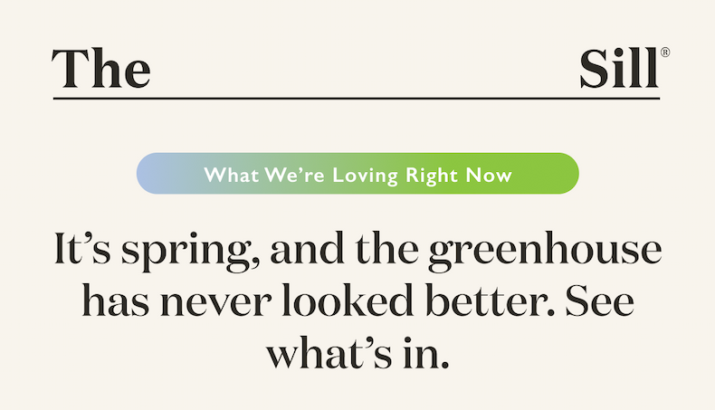 It's spring, and the greenhouse has never looked better. See what's in. 