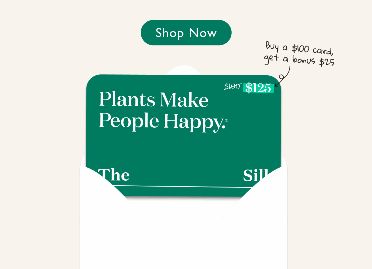 Get Bonus Bucks