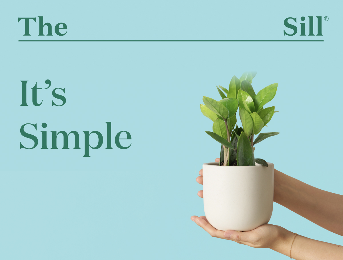 It's Simple