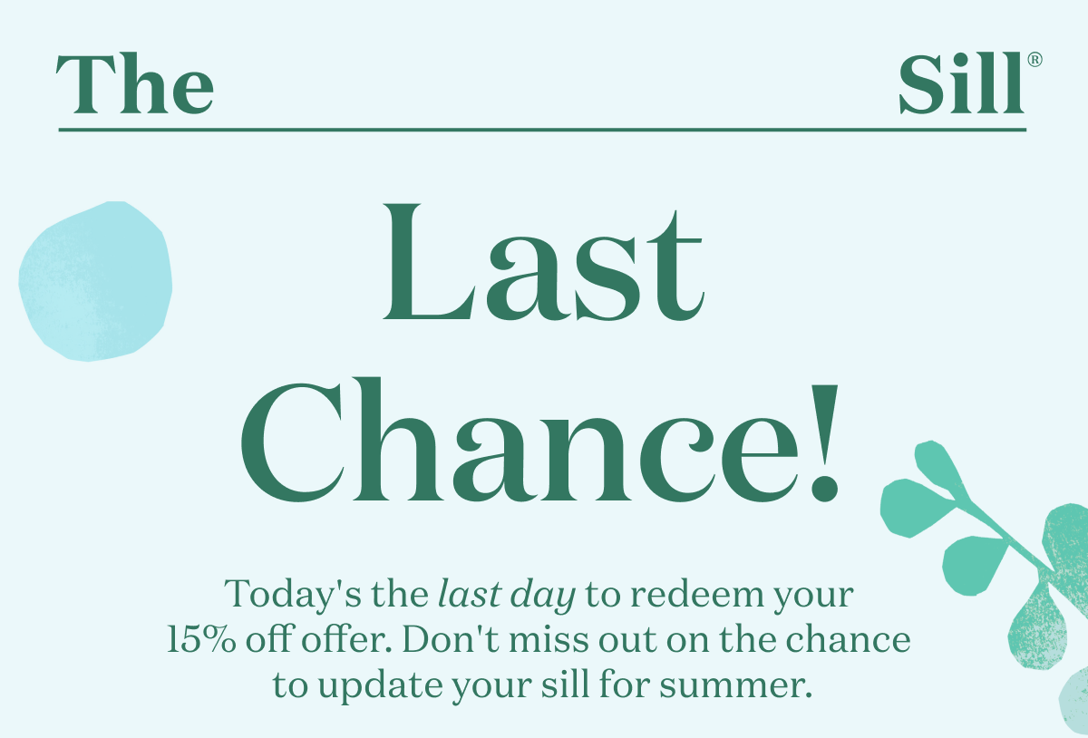 15% Off