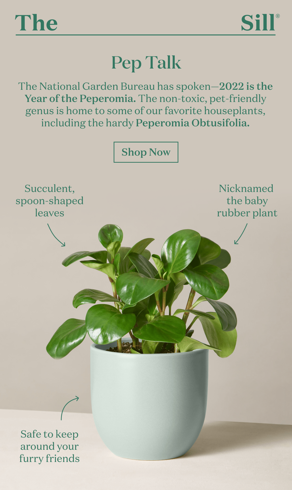 Pep Talk. The National Garden Bureau has spoken -- 2022 is the year of the Peperomia.