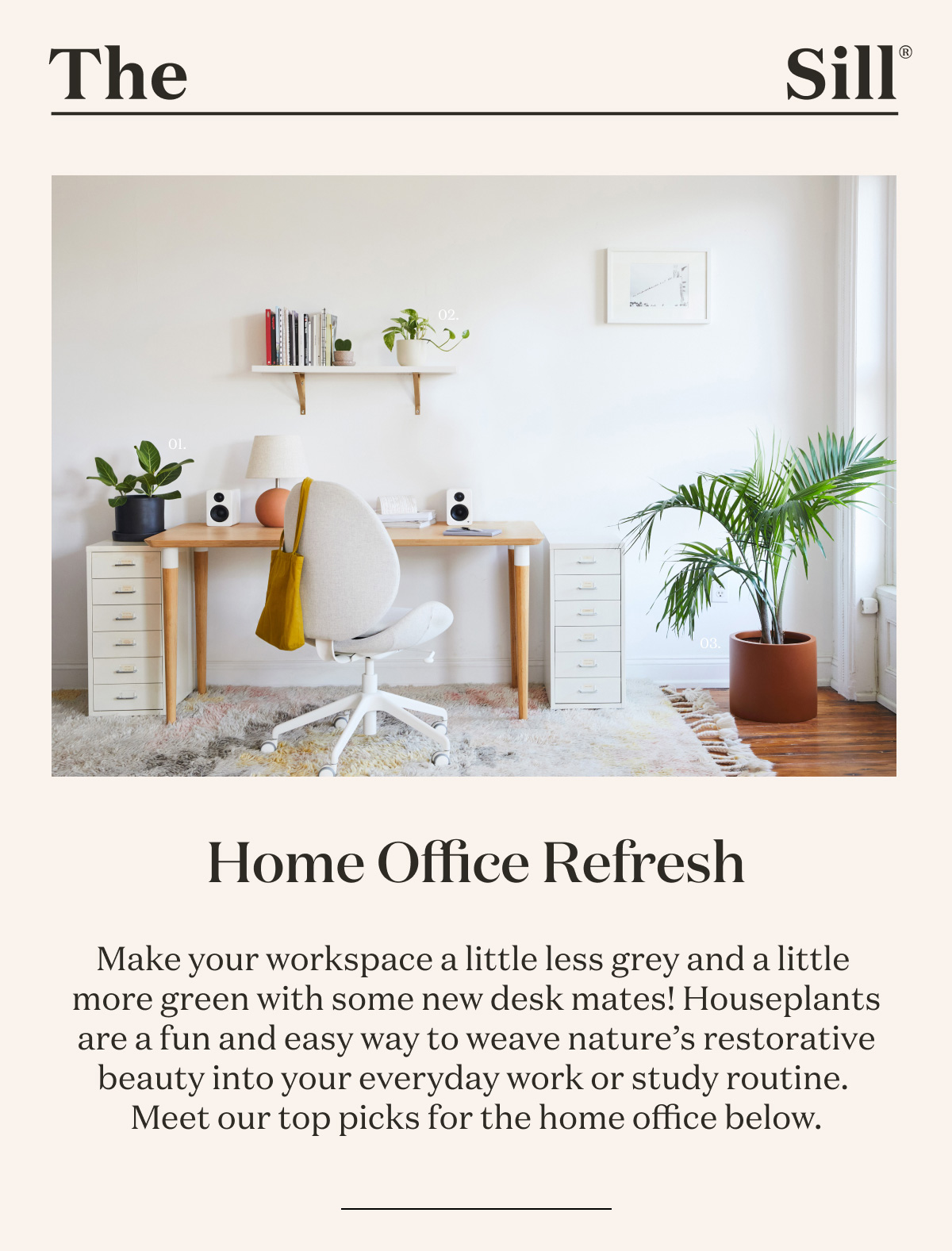Make your workspace a little less grey and a little more green with some new desk mates! Houseplants are a fun and easy way to weave nature’s restorative beauty into your everyday work or study routine. Meet our top picks for the home office below. 