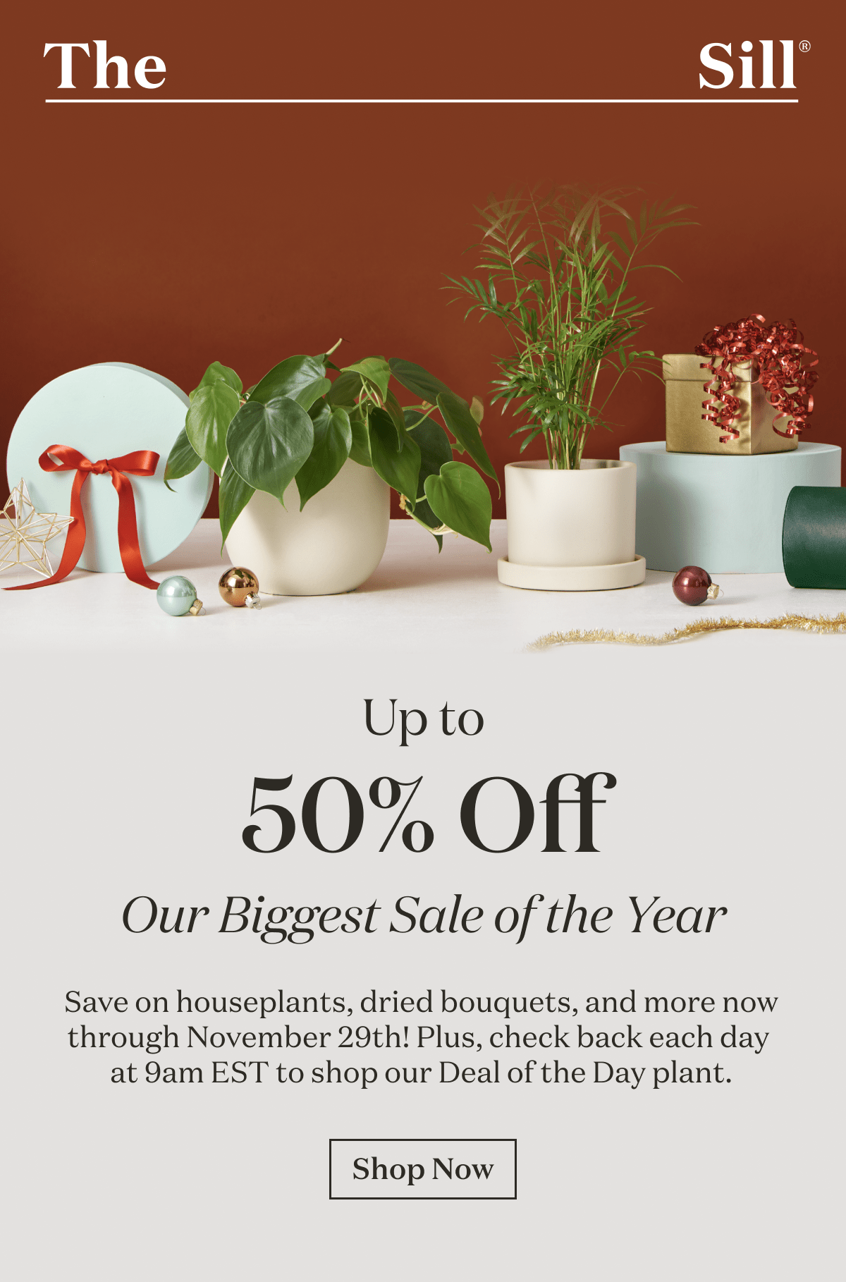 Up to 50% Off Our Biggest Sale of the Year. Save on houseplants, dried bouquets, and more now through November 29th! Plus check back each day at 9am EST to shop our Deal of the Day Plant.  