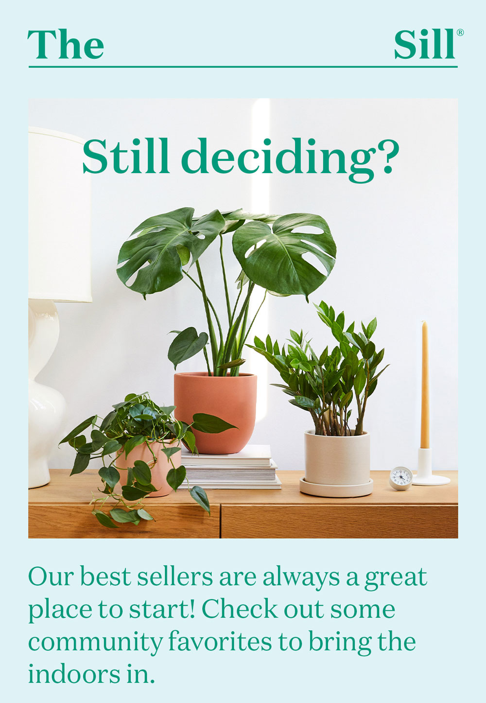 Still deciding? Our best sellers are always a great place to start!
