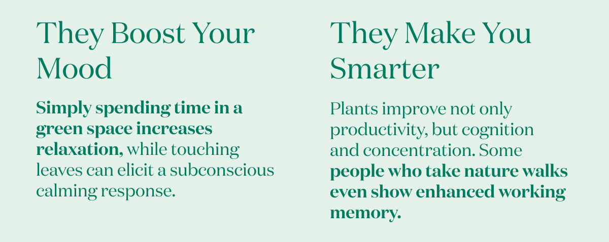 They Boost Your Mood. They Make You Smarter.