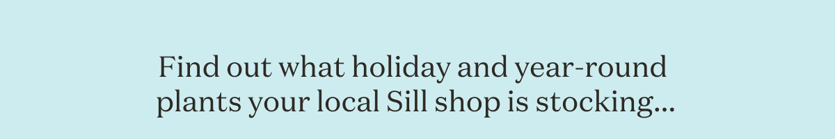 Find out what holiday and year-round plants your location Sill shop is stocking...