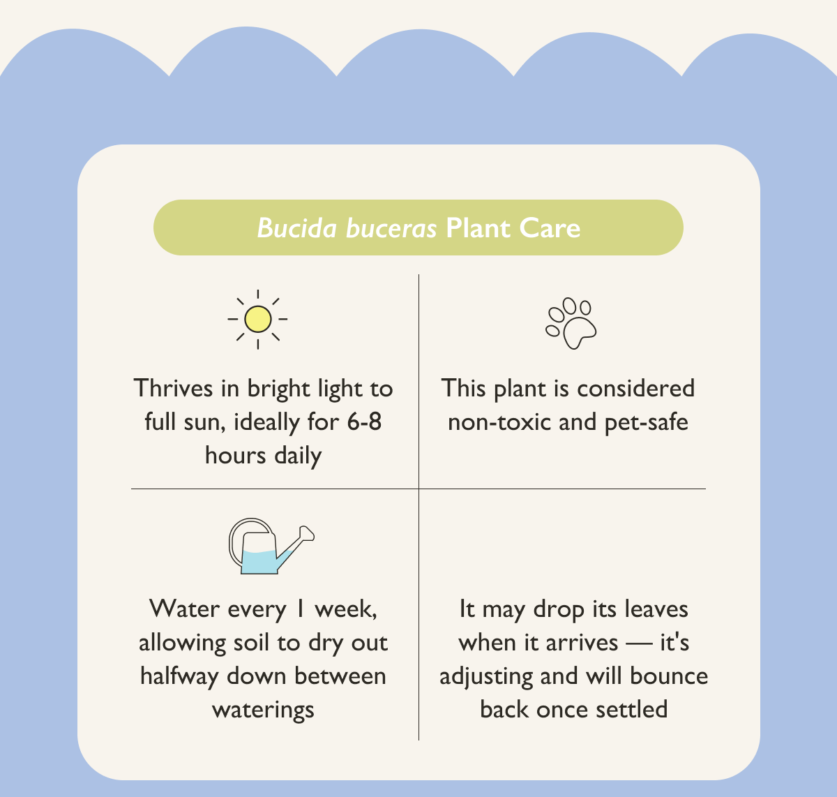 Rare, unique, and usual plants for indoors and outside. 