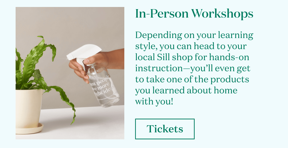 Depending on your learning style, you can head to your local Sill shop for hands-on instruction—you’ll even get to take one of the products you learned about home with you! 