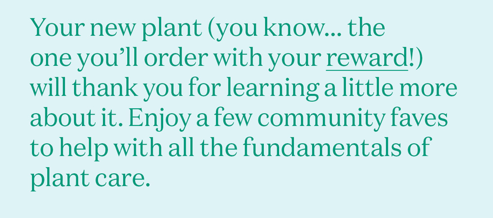 Your new plant (you know... the one you’ll order with your reward!) will thank you for learning a little more about it. Enjoy a few community favorites to help with all the fundamentals of plant care.