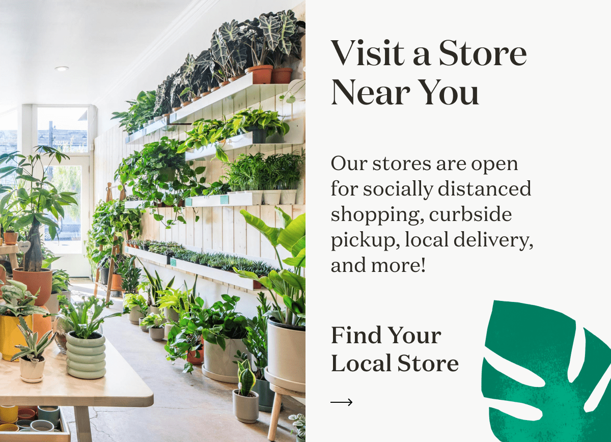Visit a Store Near You
