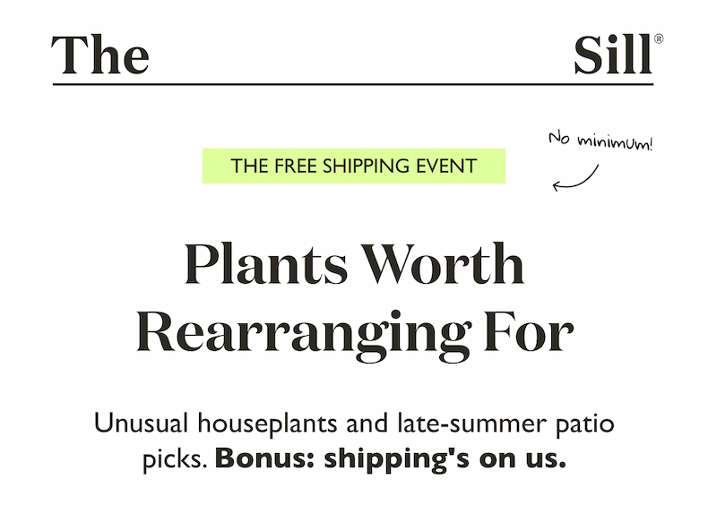 The Free Shipping Event