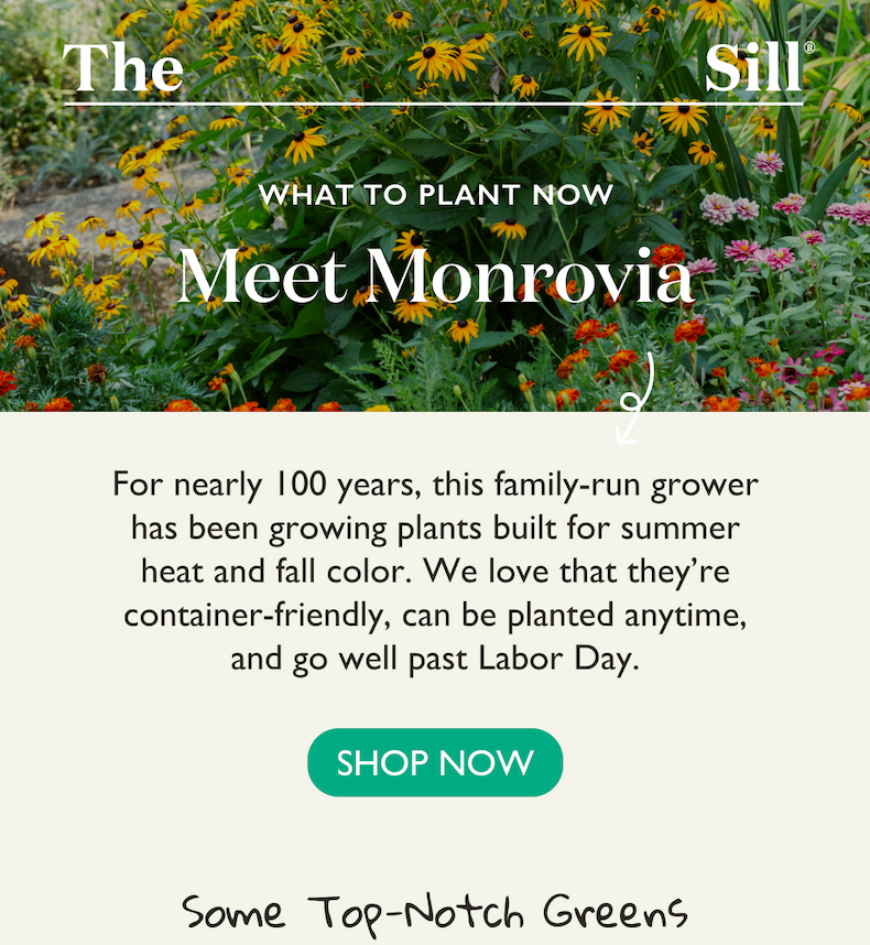 Meet Monrovia: A family-run grower thats been growing plants built for summer heat and fall color.