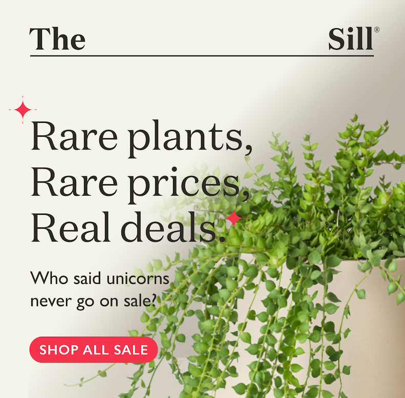 Rare plants, Rare prices, Real deals. Shop the Summer Solstice Sale! 