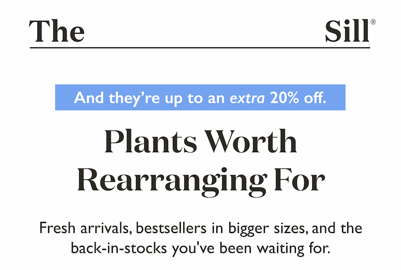 Fresh arrivals, bestsellers in bigger sizes, and the back-in-stocks you've been waiting for. 
