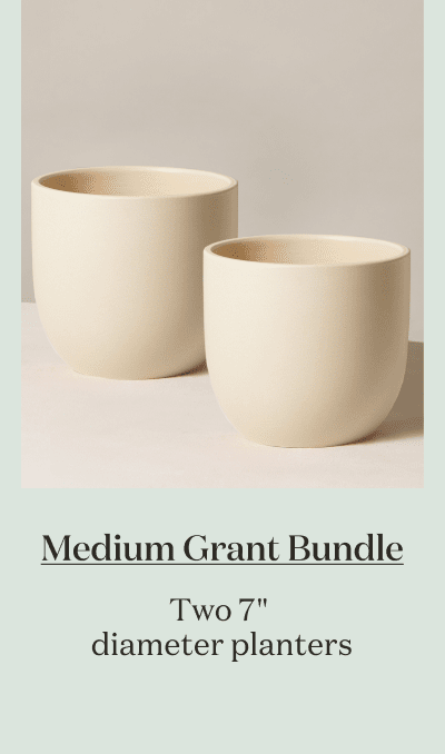 Medium Grant Bundle. Two 7" diameter planters. 