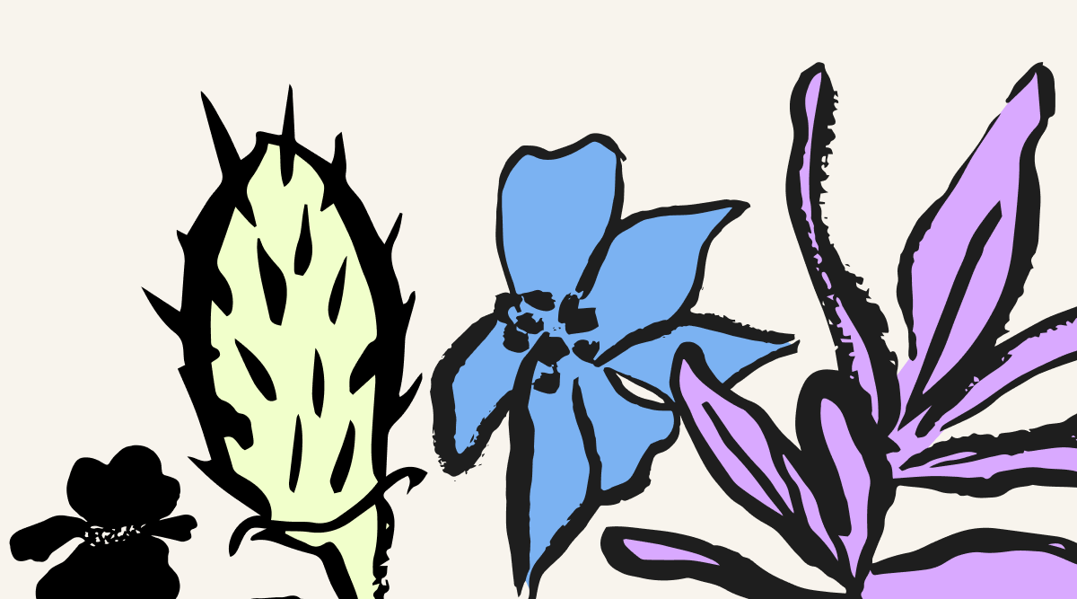 Pollinator-friendly flowering plants 
