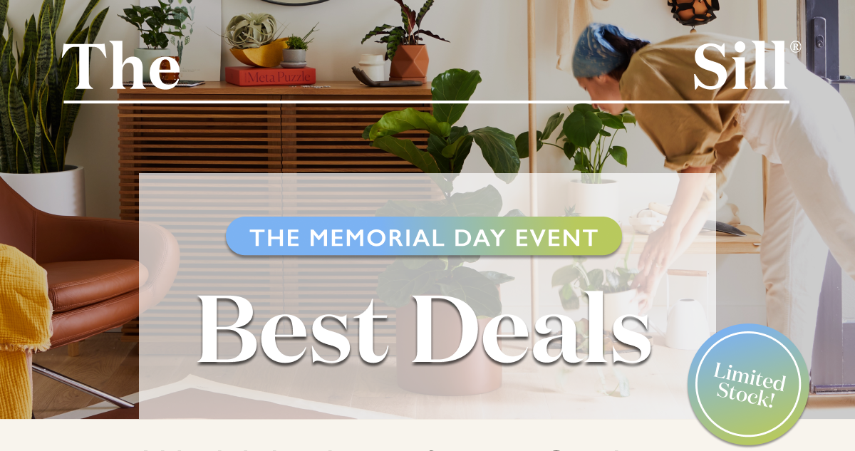 The Best of the Memorial Day Event