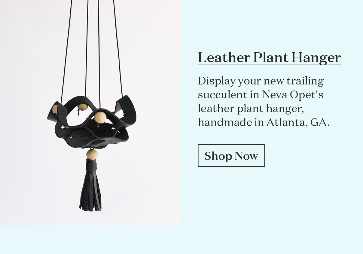 Leather Plant Hanger