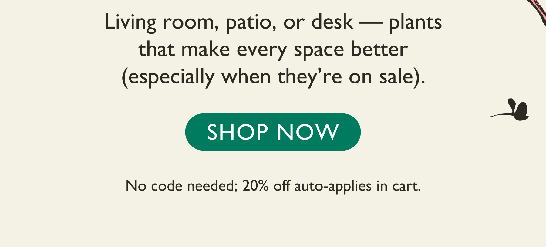 Living room, patio, or desk — plants that make every space better (especially when they’re on sale). Shop now. 