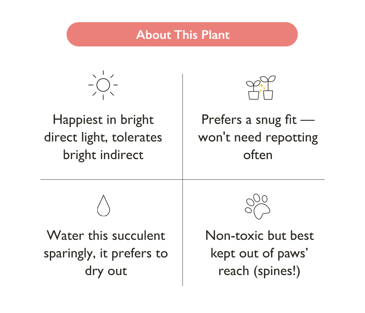 Fairy Castle Cactus Care Guide
