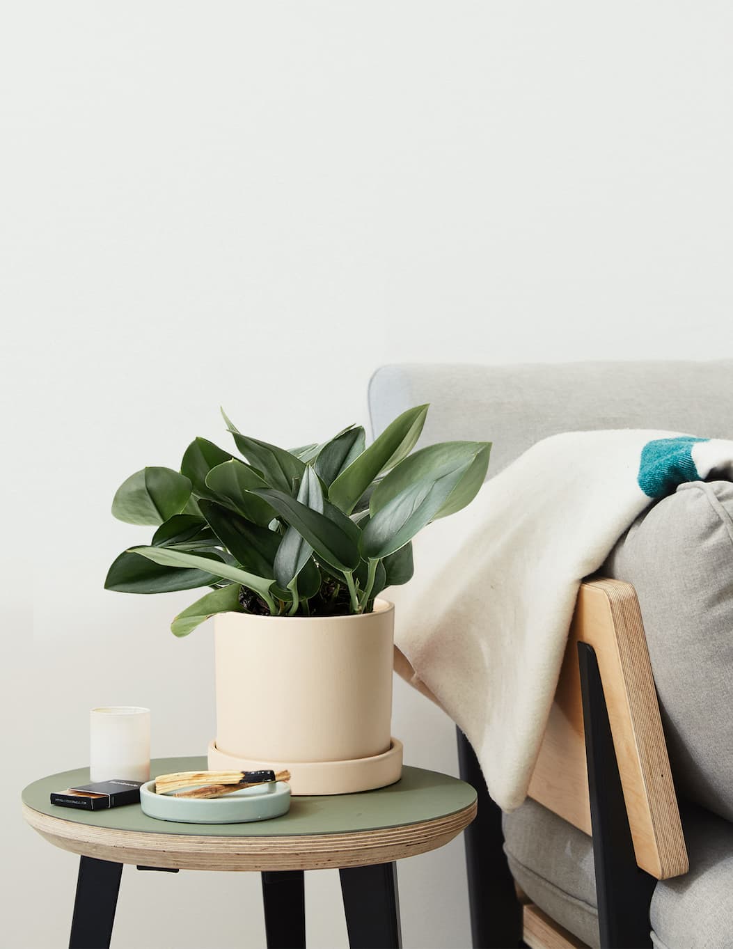 Pothos Sterling Silver on table.