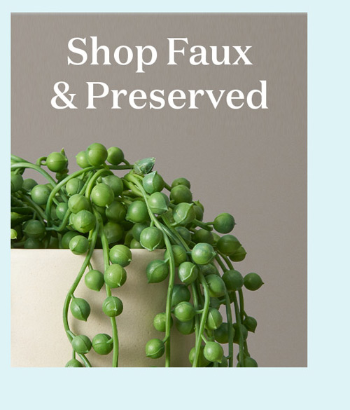 Shop Faux & Preserved