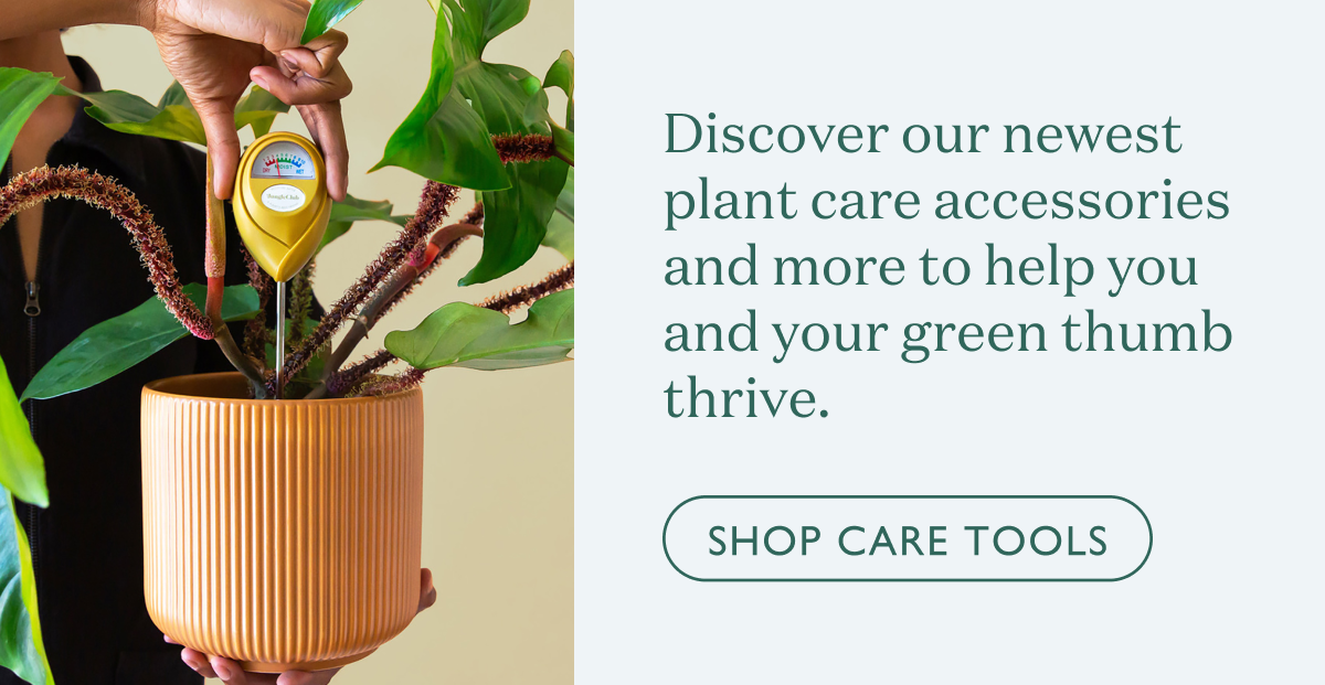 Discover our newest plant care accessories and more to help you and your green thumb thrive.