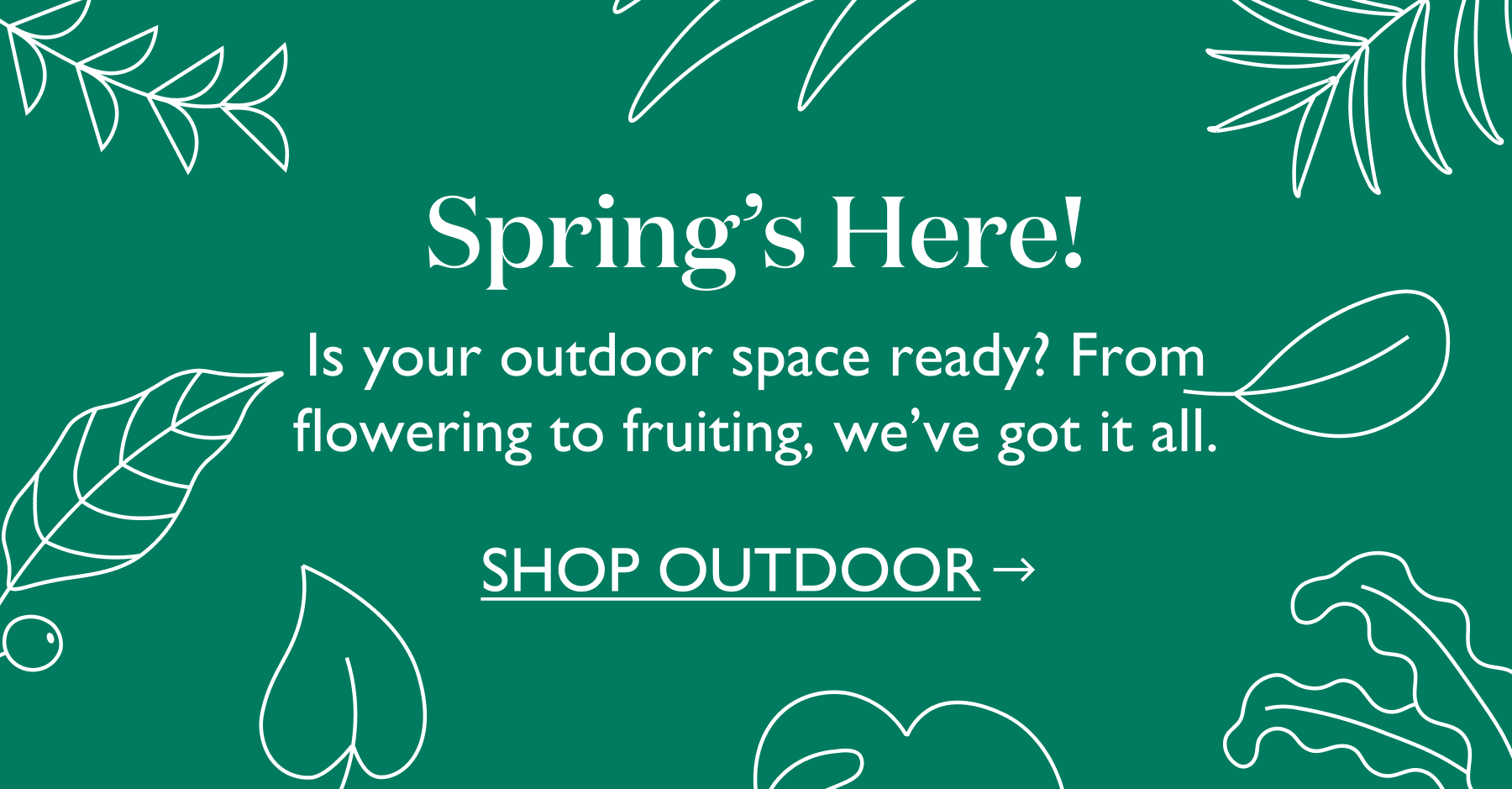 From flowering to fruiting, we've got it all. Explore outdoor.