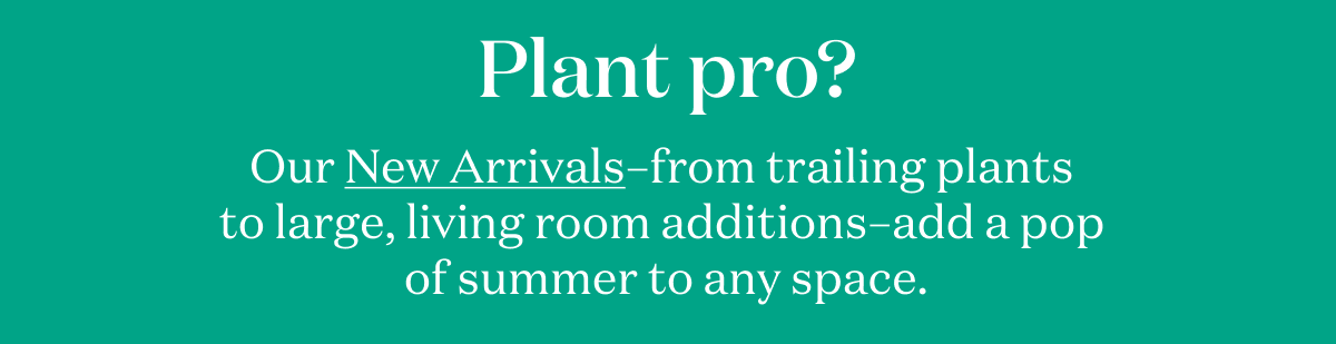 Plant Pro? Shop New Arrivals.