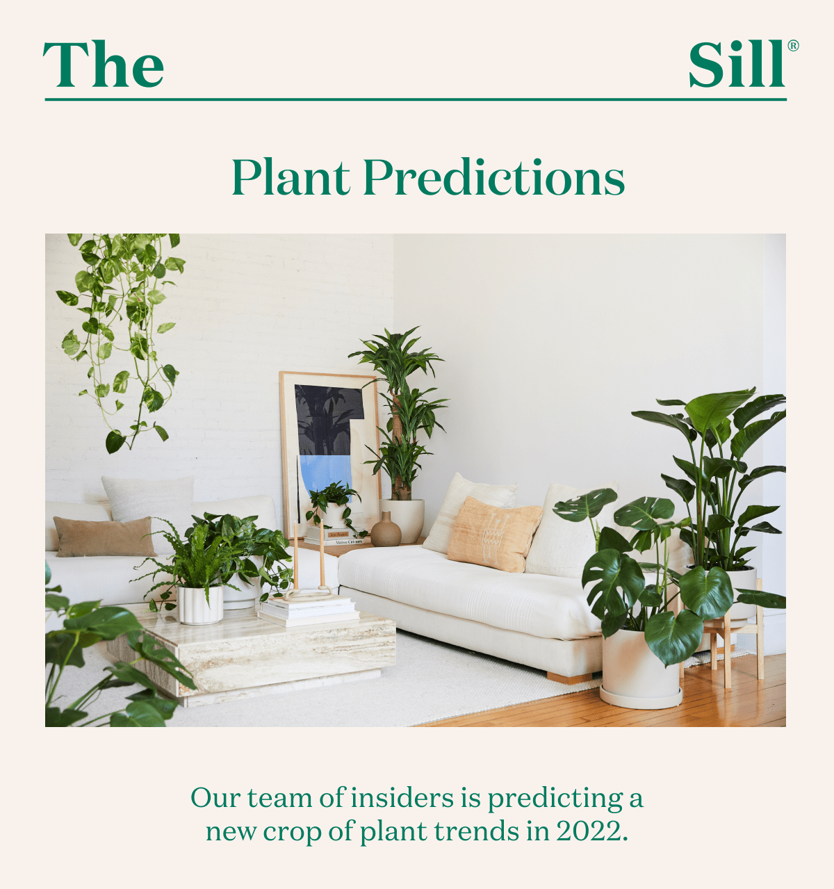 Plant Predictions. Our team of insiders is predicting a new crop of plant trends in 2022. 
