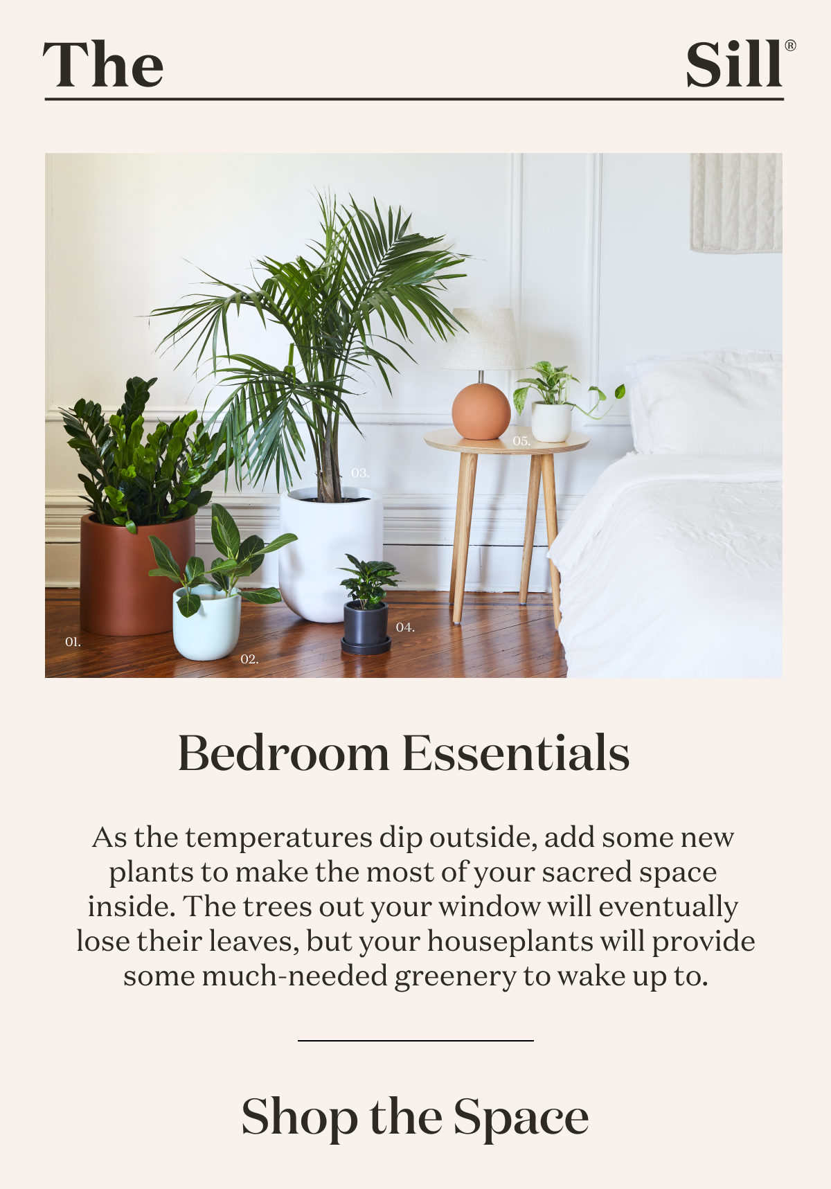 Bedroom Essentials. As the temperatures dip outside, add some new plants to make the most of your sacred space inside.