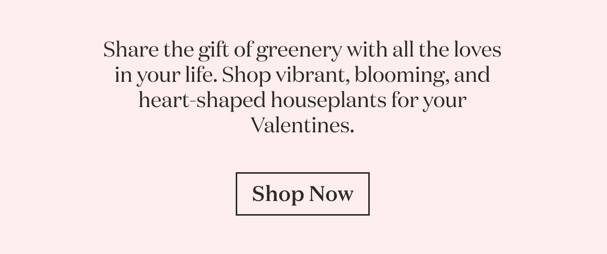 Share the gift of greenery with all the loves in your life. Shop vibrant, blooming and heart-shaped houseplant for you Valentines.