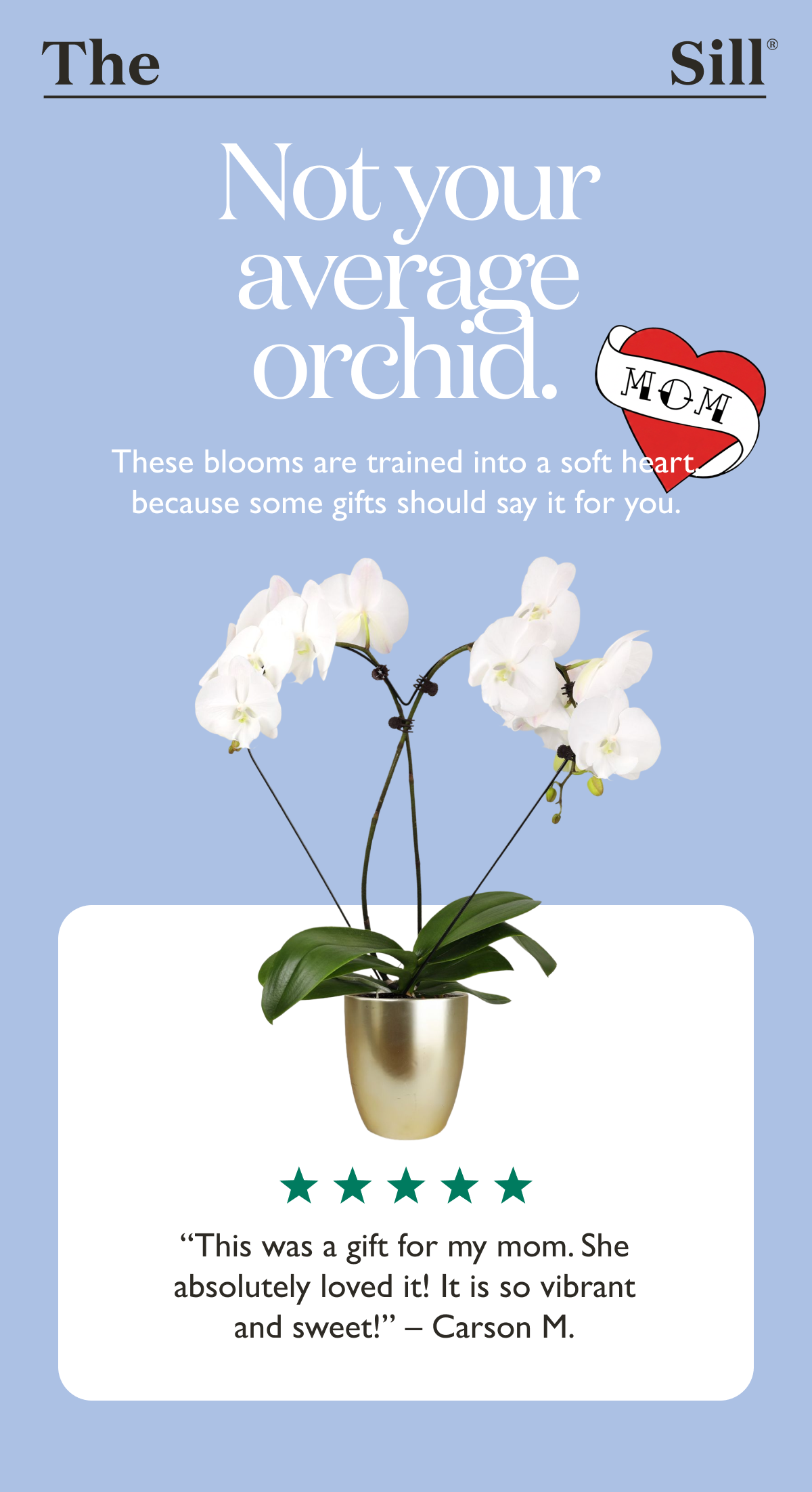 Luxe Plant Gifts for Mom