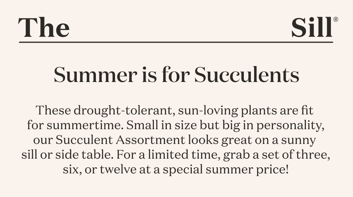 Summer is for Succulents