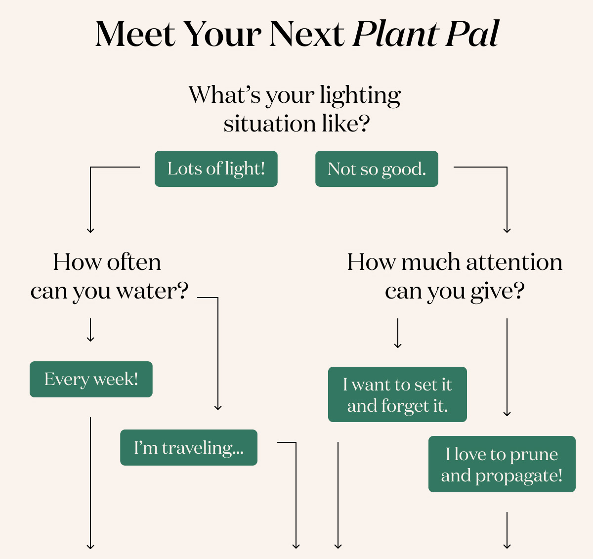 Meet your next plant pal!