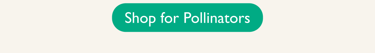 Pollinator Friendly Plants