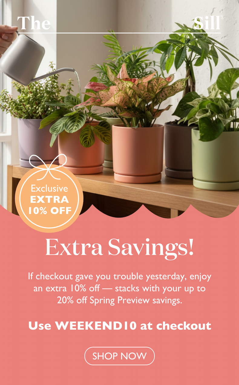 If checkout gave you trouble yesterday, enjoy an extra 10% off — stacks with your up to 20% off Spring Preview savings. Use WEEKEND10 at checkout. 