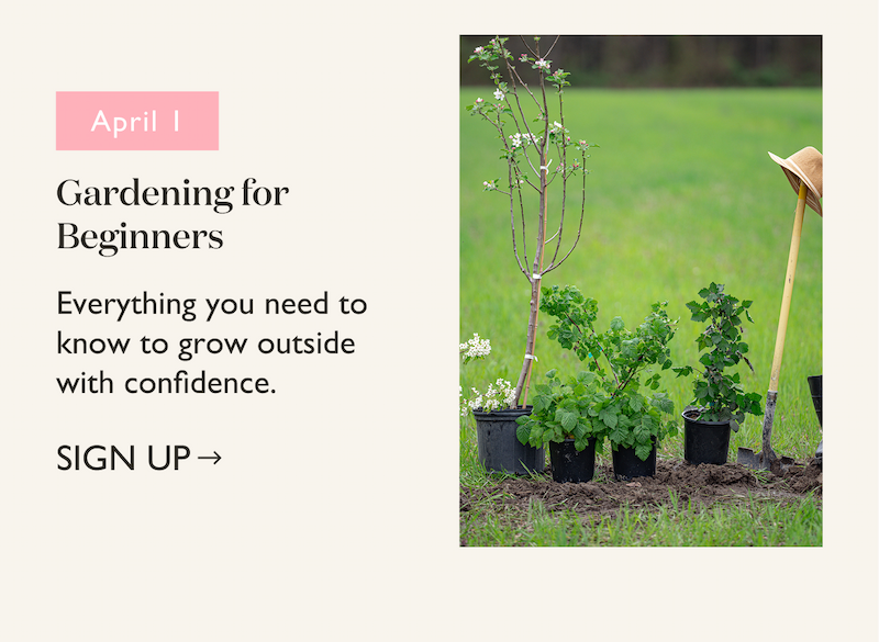 April 1, Gardening for Beginners 