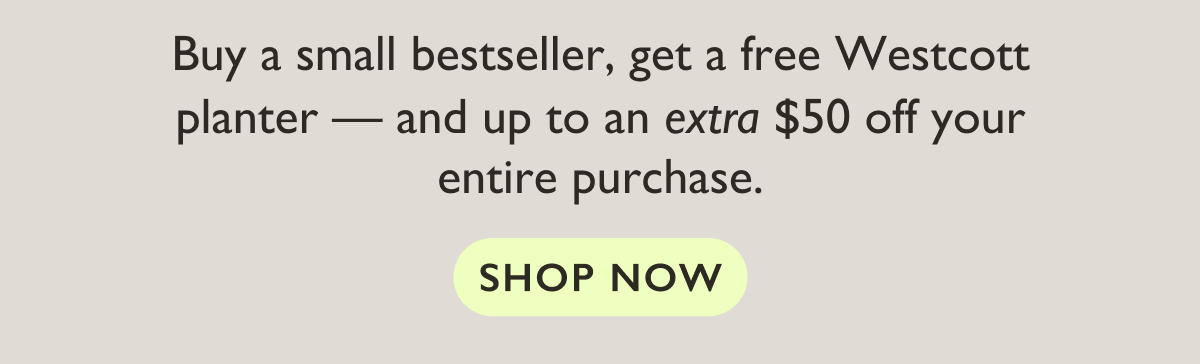 Buy a small bestseller, get a free Westcott planter — and up to an extra $50 off your entire purchase. 
